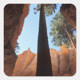 Adesivo Quadrado EUA, Utah, Parque Nacional Bryce Canyon. Alto