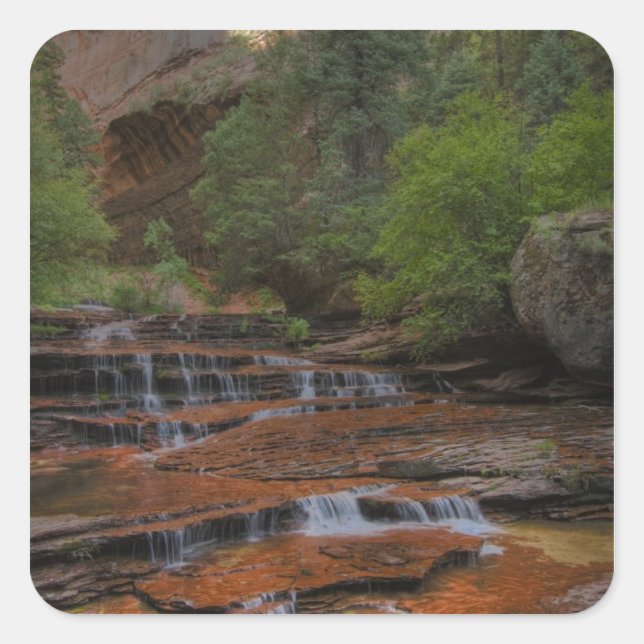 Adesivo Quadrado EUA, Utah, Zion National Park. Cênico do (Frente)