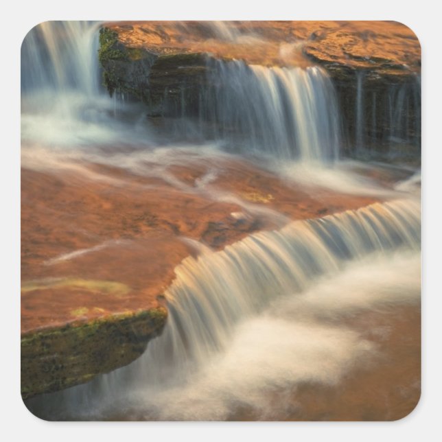 Adesivo Quadrado EUA, Utah, Zion National Park. Cênnico de 2 (Frente)