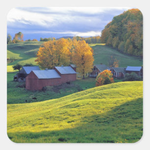 Adesivo Quadrado EUA, Vermont, Jenne Farm. Colinas verdes ondulante