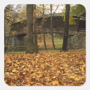 Adesivo Quadrado EUA, Virginia, Covington, Humpback coberto