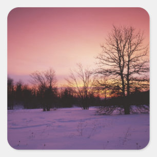 Adesivo Quadrado EUA, Virginia, Shenandoah National Park,