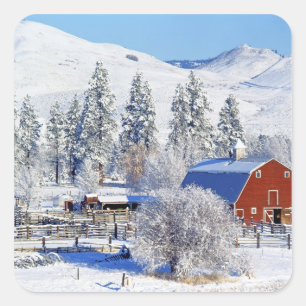 Adesivo Quadrado EUA, Washington, Methow Valley, Barns in
