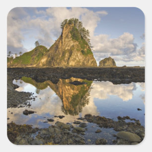 Adesivo Quadrado EUA, Washington, Parque Nacional Olímpico. A
