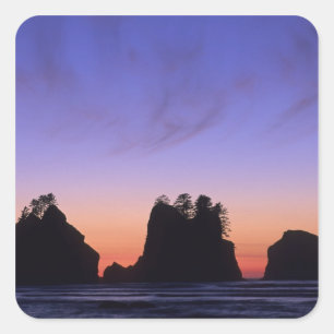 Adesivo Quadrado EUA, Washington, Parque Nacional Olímpico, Shi-shi