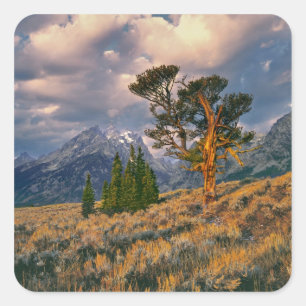 Adesivo Quadrado EUA, Wyoming, Grand Teton NP. O nascer do sol saú