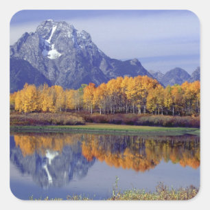 Adesivo Quadrado EUA, Wyoming, Parque Nacional Grand Teton. Mt.