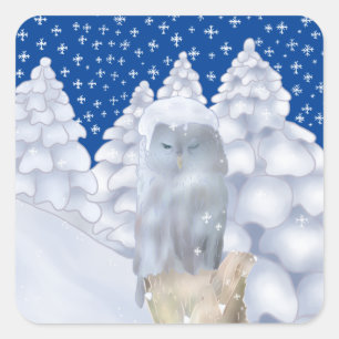 Adesivo Quadrado Eule im Schnee  