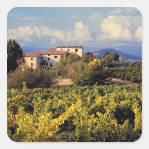 Adesivo Quadrado Europa, França, Bonnieux. Vinhas cobrem o