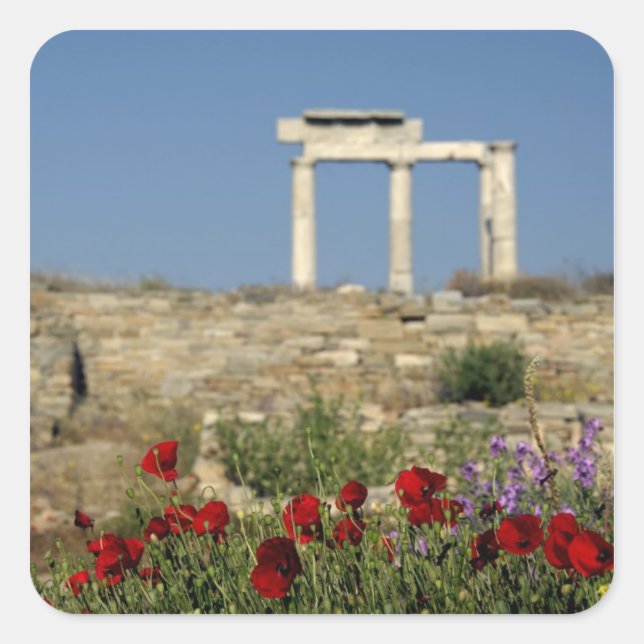 Adesivo Quadrado Europa, Grécia, Cíclades, Delos. Arruínas de colun (Frente)