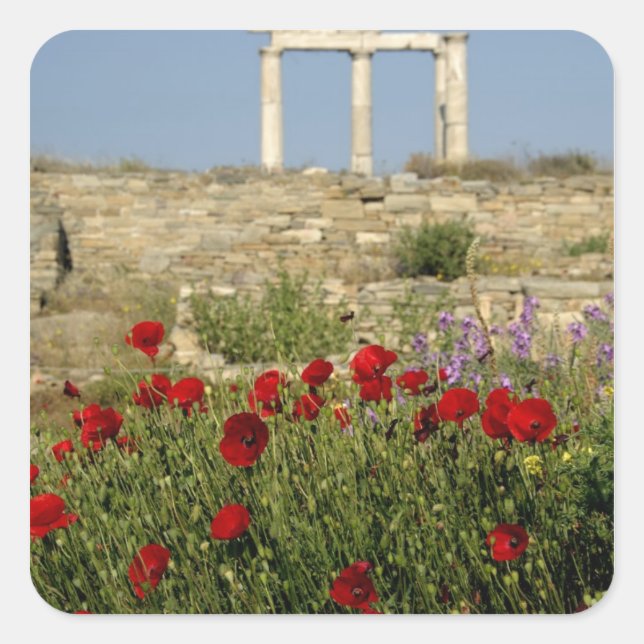 Adesivo Quadrado Europa, Grécia, Cíclades, Delos. Arruínas de colun (Frente)