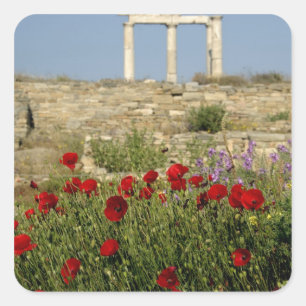 Adesivo Quadrado Europa, Grécia, Cíclades, Delos. Arruínas de colun