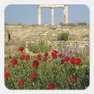 Adesivo Quadrado Europa, Grécia, Cíclades, Delos. Ruínas de colu