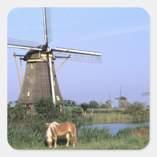 Adesivo Quadrado Europa, Holanda, Zuid Holland, Kinderdijk. 2