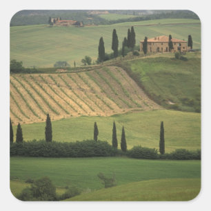 Adesivo Quadrado Europa, Itália, Toscana, Val d'Orcia, Toscano