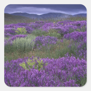 Adesivo Quadrado Europa, Turquia, Cappadocia. Paisagem rural 2