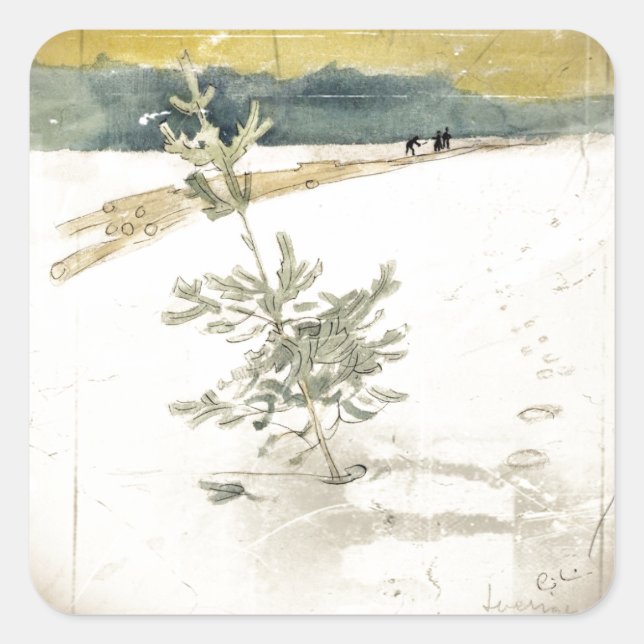 Adesivo Quadrado Evergreen (Frente)