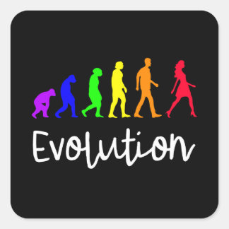 Adesivo Quadrado Evolução