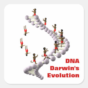 Adesivo Quadrado Evolução do ADN Darwin