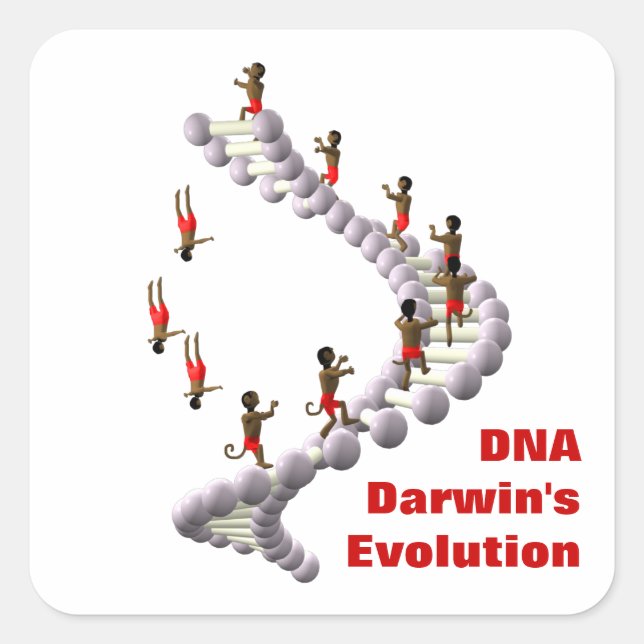 Adesivo Quadrado Evolução do DNA Darwin (Frente)