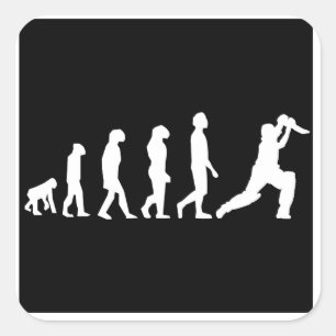 Adesivo Quadrado Evolução do grilo