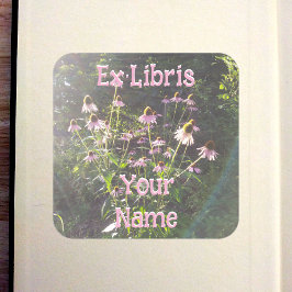 Adesivo Quadrado Ex-libris Flores de Echinacea ao Sol