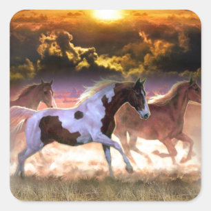 Adesivo Quadrado Execução Gratuita