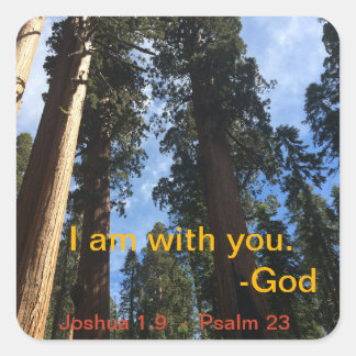 Adesivo Quadrado Exibição de Céu da Sequoia Gigante