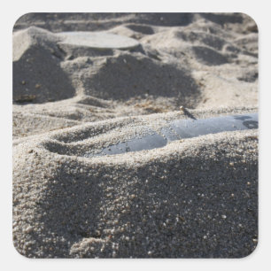 Adesivo Quadrado Exibição estática de uma shell de equipamento