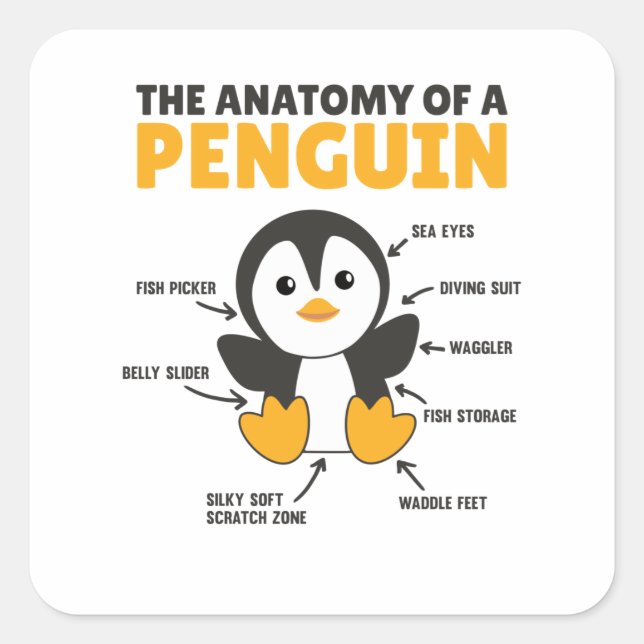 Adesivo Quadrado Explicação Engraçada De Pinguim A Anatomia (Frente)
