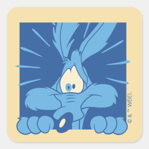 Adesivo Quadrado Expressão de Choque do WILE E. COYOTE™