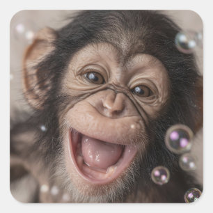 Adesivo Quadrado Extremamente próximo de um bebê chimpanzé feliz