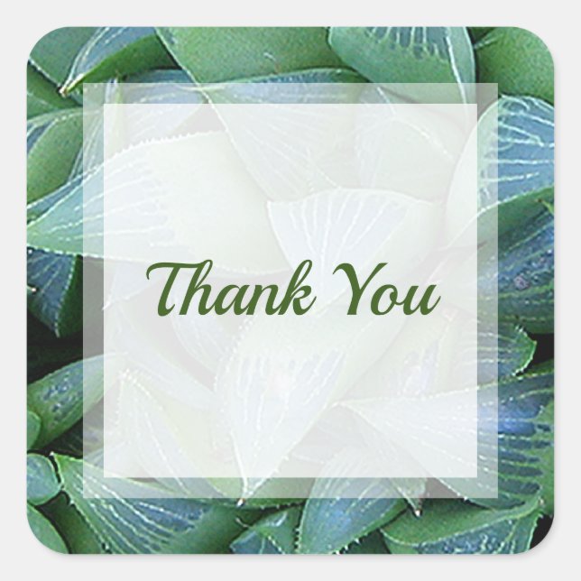 Adesivo Quadrado Fábrica Bem Suculta da Havalia Verde Obrigado Stic (Frente)