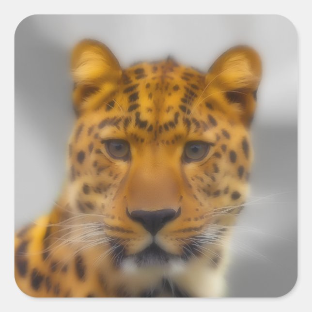 Adesivo Quadrado Face Leopardo (Frente)