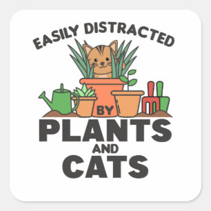 Adesivo Quadrado Fácil Distração Por Plantas E Gatos Doce Gato