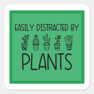 Adesivo Quadrado Facilmente distraído por Plant Sticker Classic