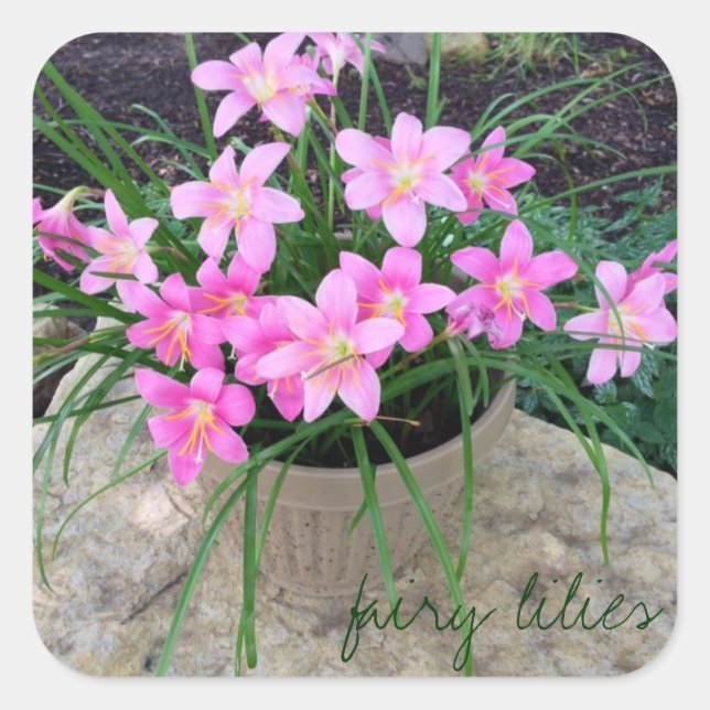 Adesivo Quadrado Fairy Lily Stickers (Frente)