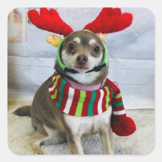 Adesivo Quadrado Falha no Huey Holiday (Frente)