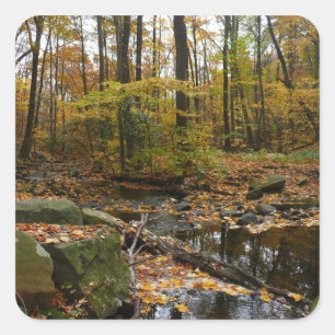 Adesivo Quadrado Fall Creek com Reflexo no Laurel Hill Park