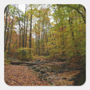 Adesivo Quadrado Fall Creek no Laurel Hill State Park Pensilvânia