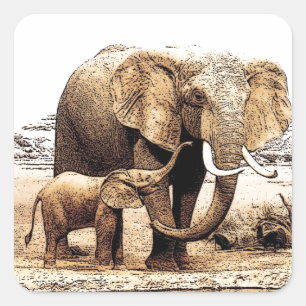 Adesivo Quadrado Família Elefante