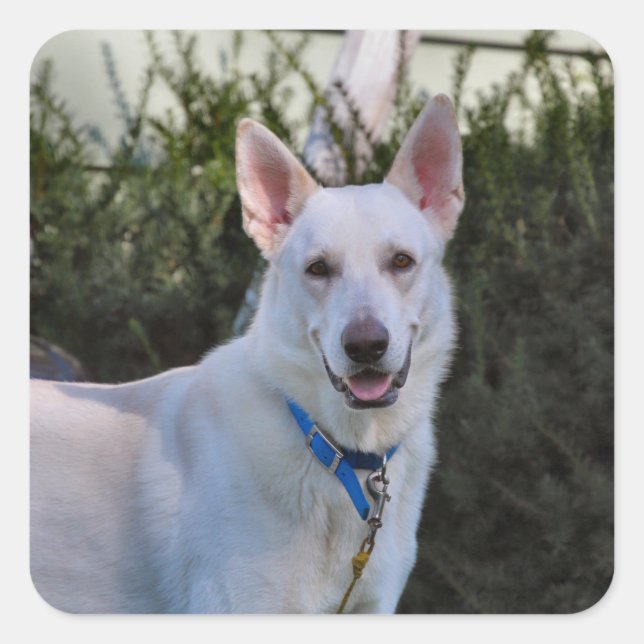 Adesivo Quadrado Fantasma (Frente)