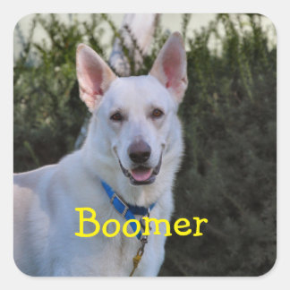 Adesivo Quadrado Fantasma