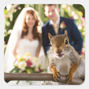 Adesivo Quadrado Fantasy Cute Squirrel Casado Casal