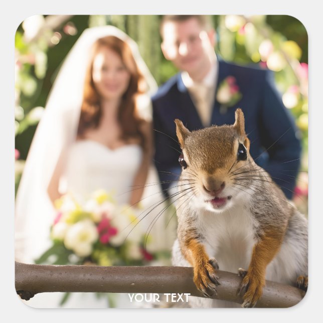 Adesivo Quadrado Fantasy Cute Squirrel Casado Casal (Frente)