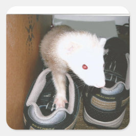 Adesivo Quadrado Farret e a mangueira