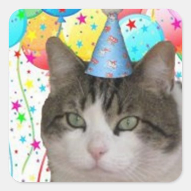 Adesivo Quadrado Fatboy Babushka Festa de aniversário Stickers (Frente)