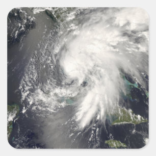 Adesivo Quadrado Fay tropical 2 da tempestade