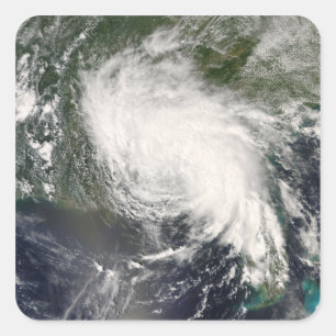Adesivo Quadrado Fay tropical 3 da tempestade