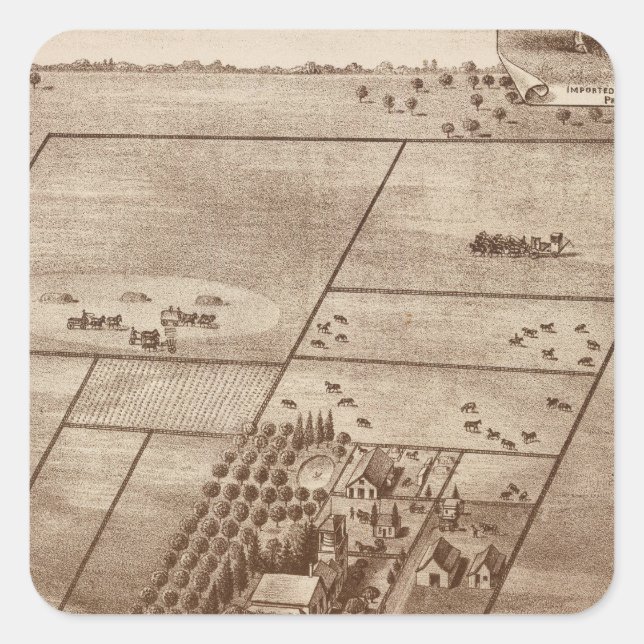 Adesivo Quadrado Fazenda Bertch (Frente)